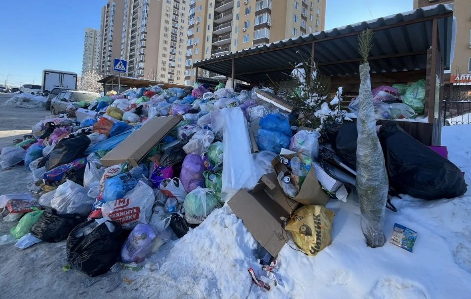 Саратовского чиновника возмутили стихийные мусорные свалки по всему городу